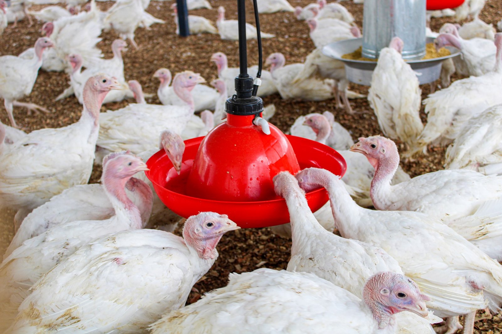 472562750_1138946834903124_7352702159222127348_n