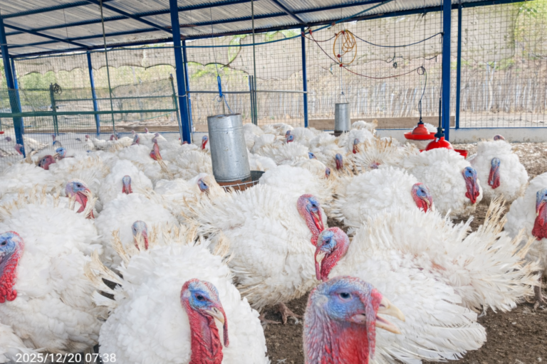 Granjas Saludables, Producción Responsable