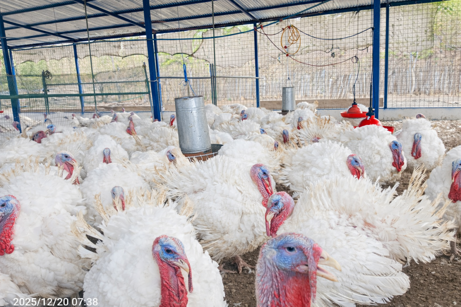 ChatGPT Image 8 feb 2026, 12_07_50 a.m