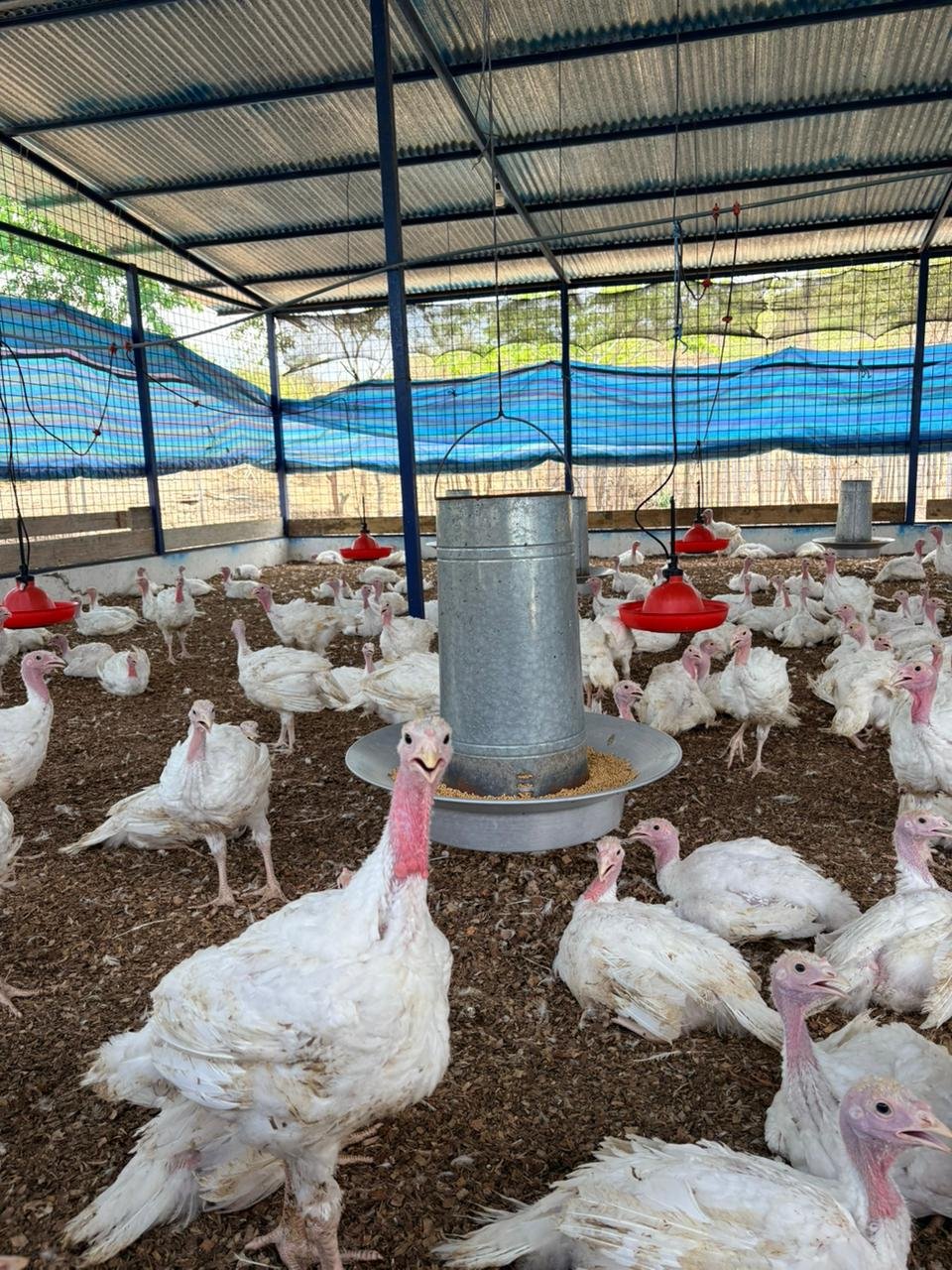 WhatsApp Image 2026-02-06 at 10.17