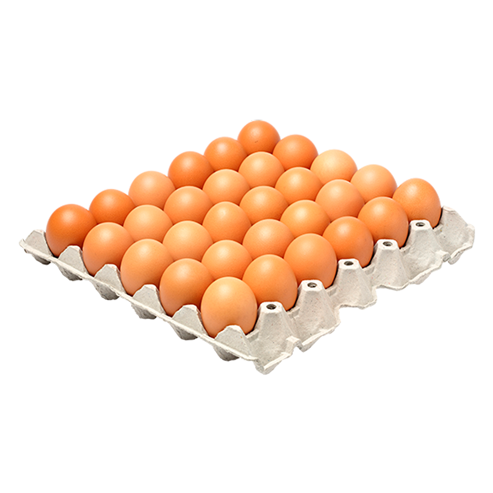 PIERNAS DE PAVO - Image 3