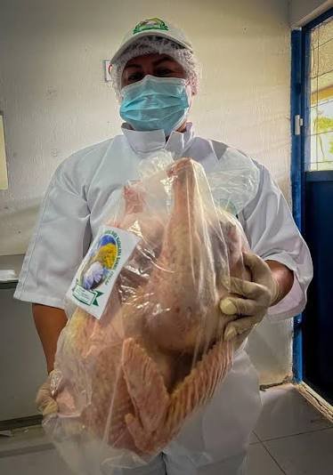 WhatsApp Image 2026-02-05 at 12.50